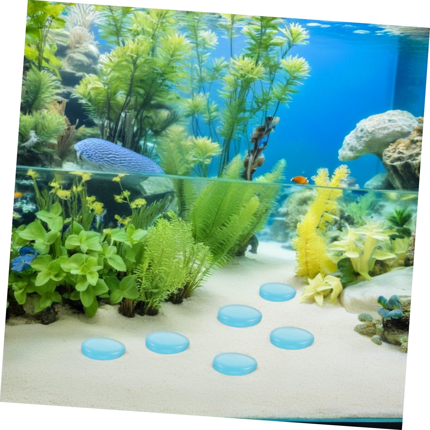300 Pezzi Pietre Luminose Blu da e Ciottoli Resinati Resistenti all Decorazione Fluorescente per Esterni e Rocce Fosforescenti per Paesaggi e Vasche