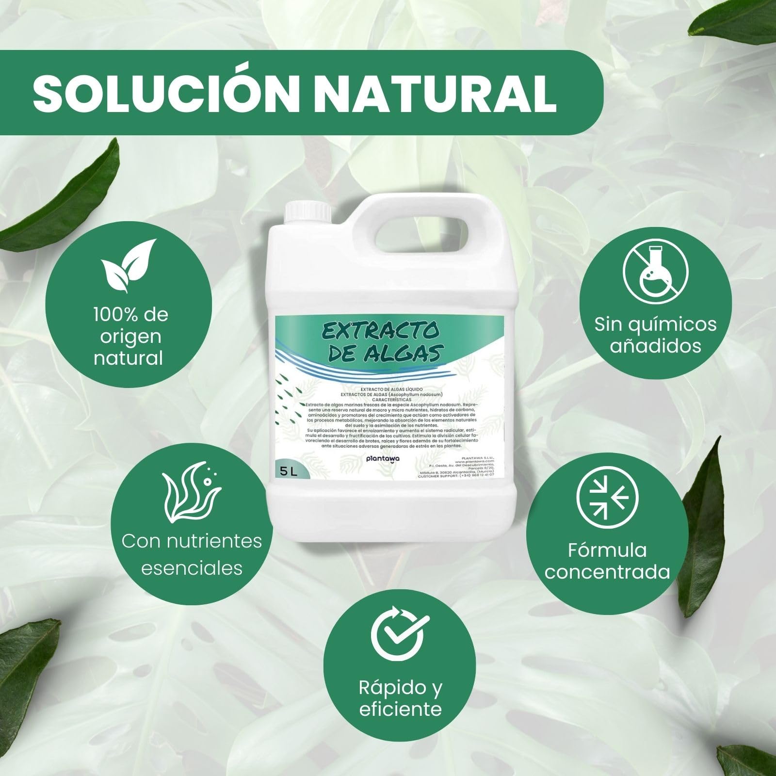 Plantawa Extracto de Algas Marinas Líquido 5 Litros | 100% Natural, Potenciador, Enraizante y Micorrizas.