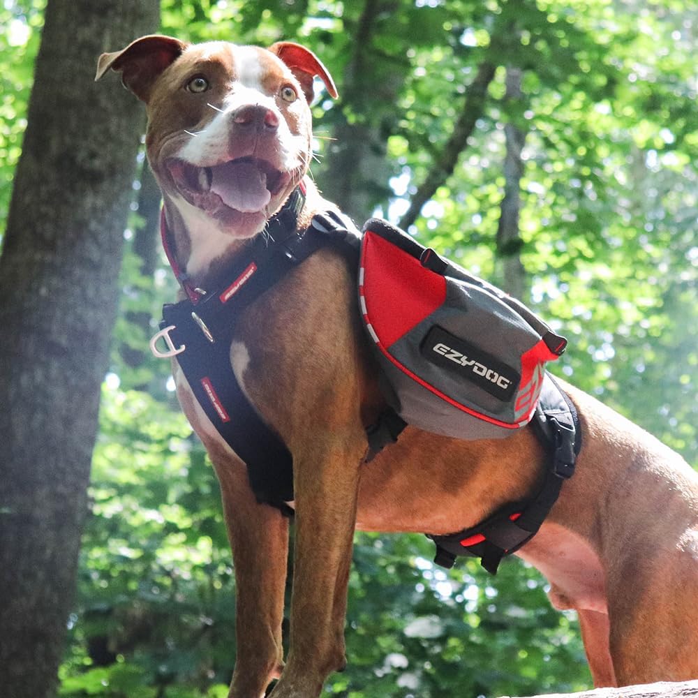 EzyDog Summit Outdoor Dog Backpack - Reflective and Incorporates a Chest Plate Harness - Easy Access Saddlebags with Superior Storage Capacity and Comfort - Front Pull Ring (Red/Gray, Medium)