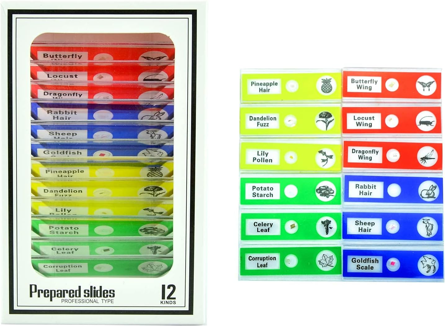 Science Kits for Kids Beginner Microscope with Sample Prepared Slides 12pc, Training Wheels 1 Pair Heavy Duty Rear Wheel for Kids Bikes for Bikes of 14 16 18 Inch