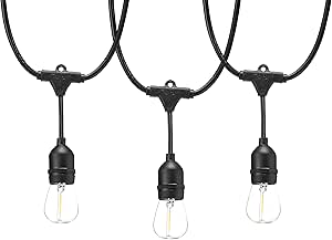 Amazon Basics 24-Foot Commercial Grade Outdoor String Lights with 8 S14 Edison Style 1-Watt LED Bulbs - Soft White &amp; Black Cord