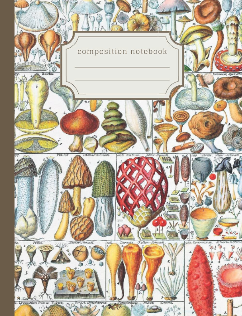 Vintage Mushroom Composition Notebook: Ideal stationery gift for nature lovers, foragers, students and biologists