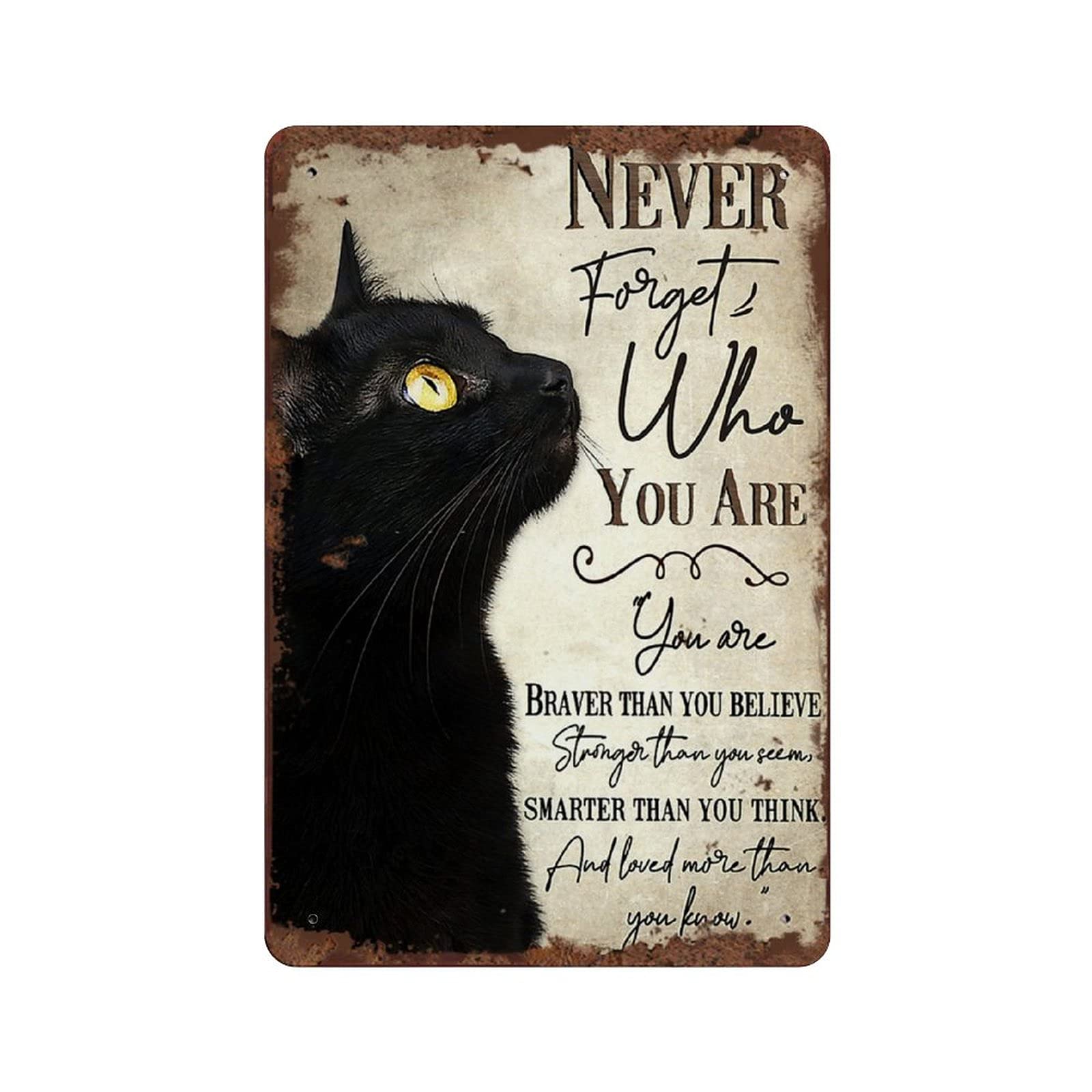 Never Forget The cat Lover Gift You are for The Vintage tin Sign Animal Art Metal Tin Sign Kitchen Pub Funny Novelty Coffee Bar 12x8inch Yard Garden Farm Man Cave
