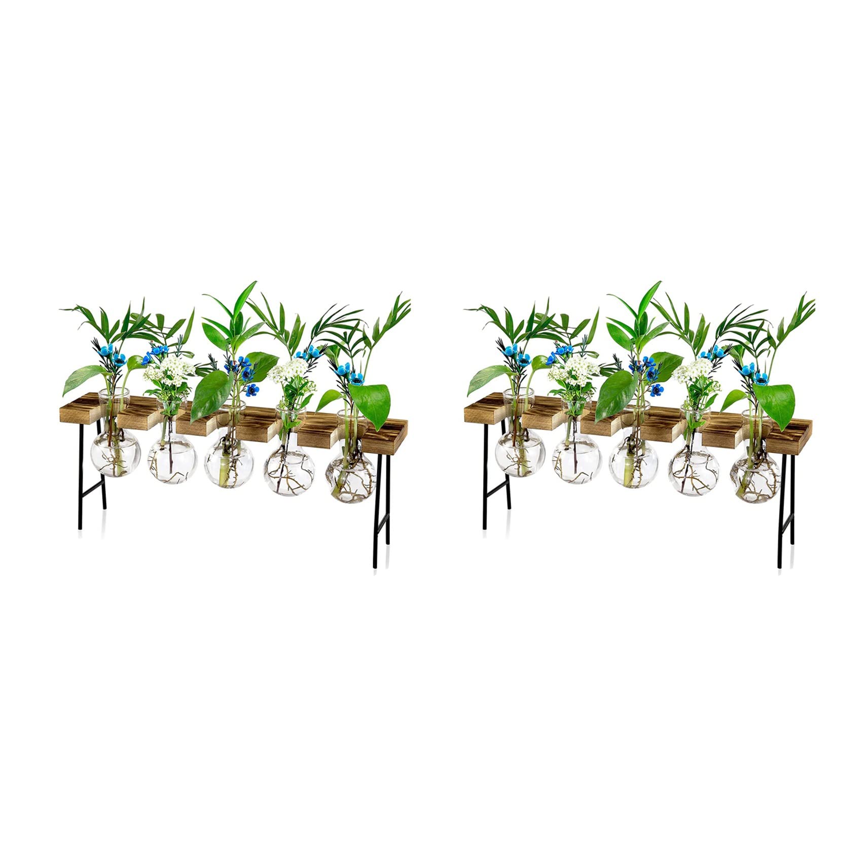 Hndhbfgrt 2X Propagation Stations Desktop Air Plant Terrarium, Glass Planter Bulb Glass Vase with Wooden Stand - Plant Terrarium