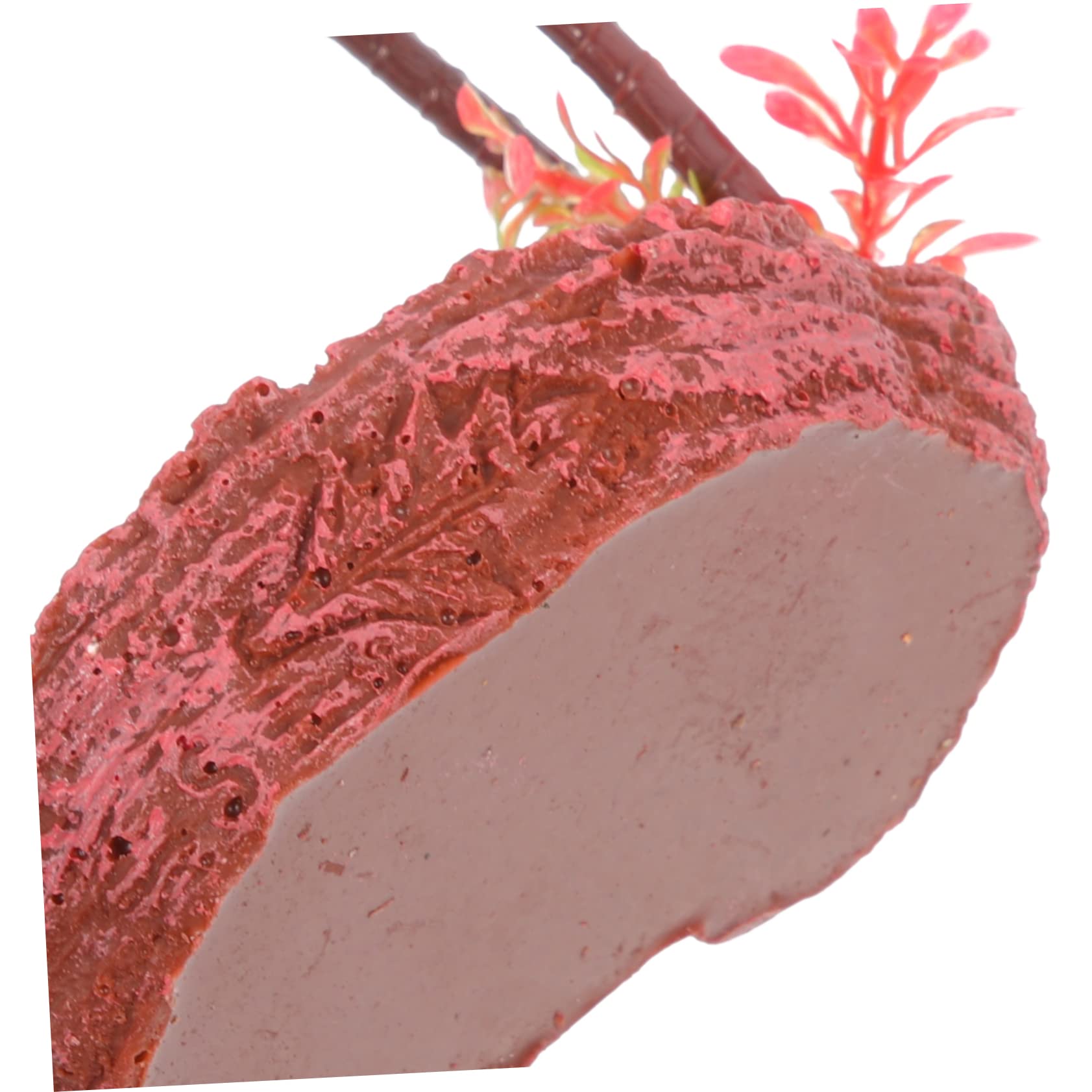 ERINGOGO Decorative Reptile Dish Natural Coconut Shell Tortoise Water Bowl Lizard Food Container for Reptile Feeding Habitat Accessories for Snakes Turtles