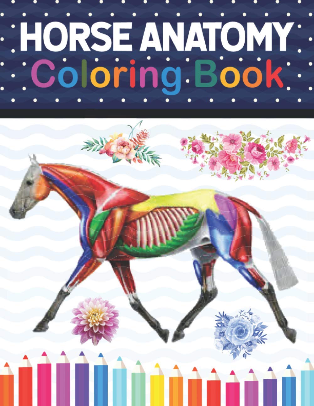 Horse Anatomy Coloring Book: The New Surprising Magnificent Learning Structure For Veterinary Anatomy Students. Introduction to Veterinary Anatomy and ... Equine Anatomy & Physiology Coloring book.