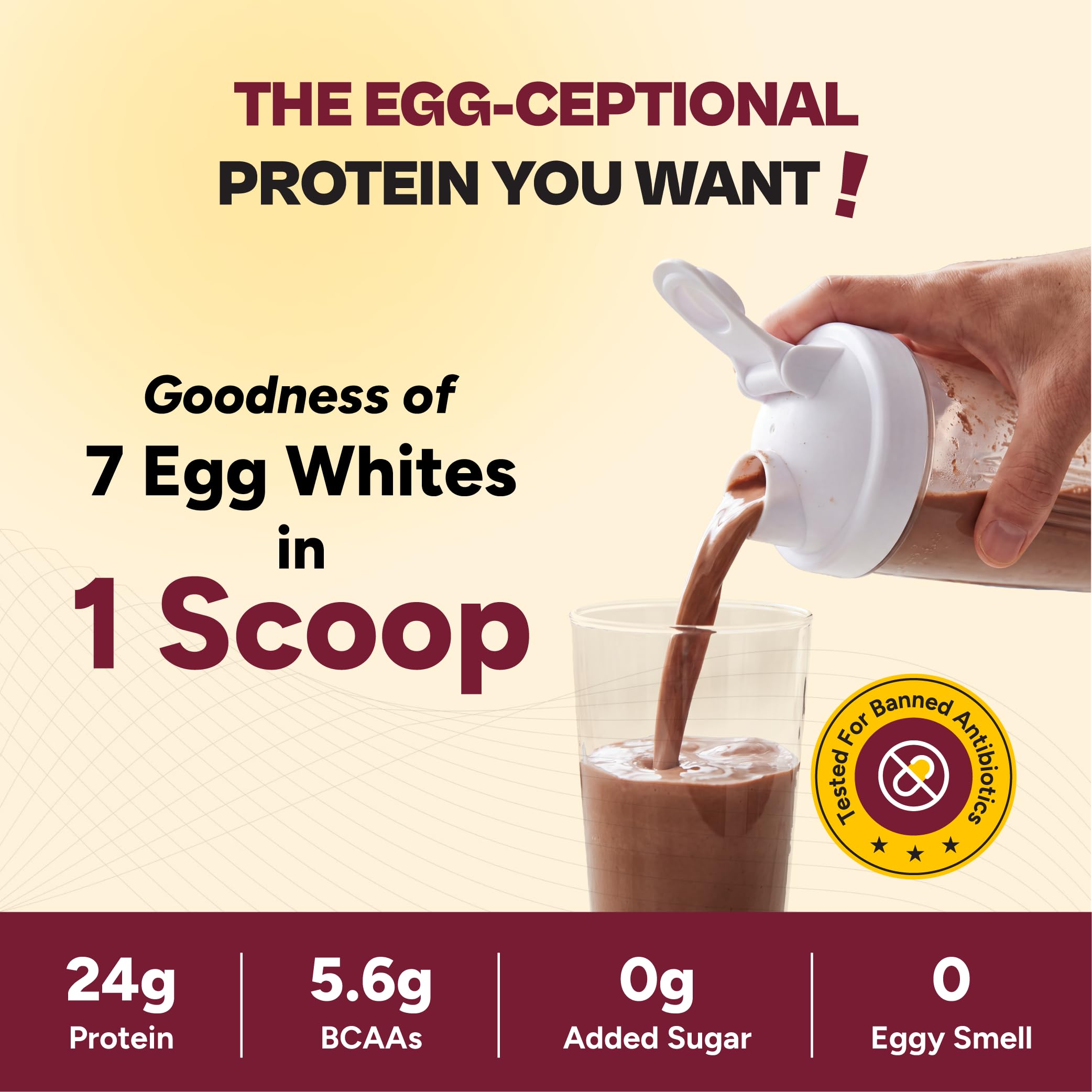 Tata 1mg Egg White Protein Powder | 24g Protein | 5.6g BCAAs per Serve | Chocolate — Amazon image 2