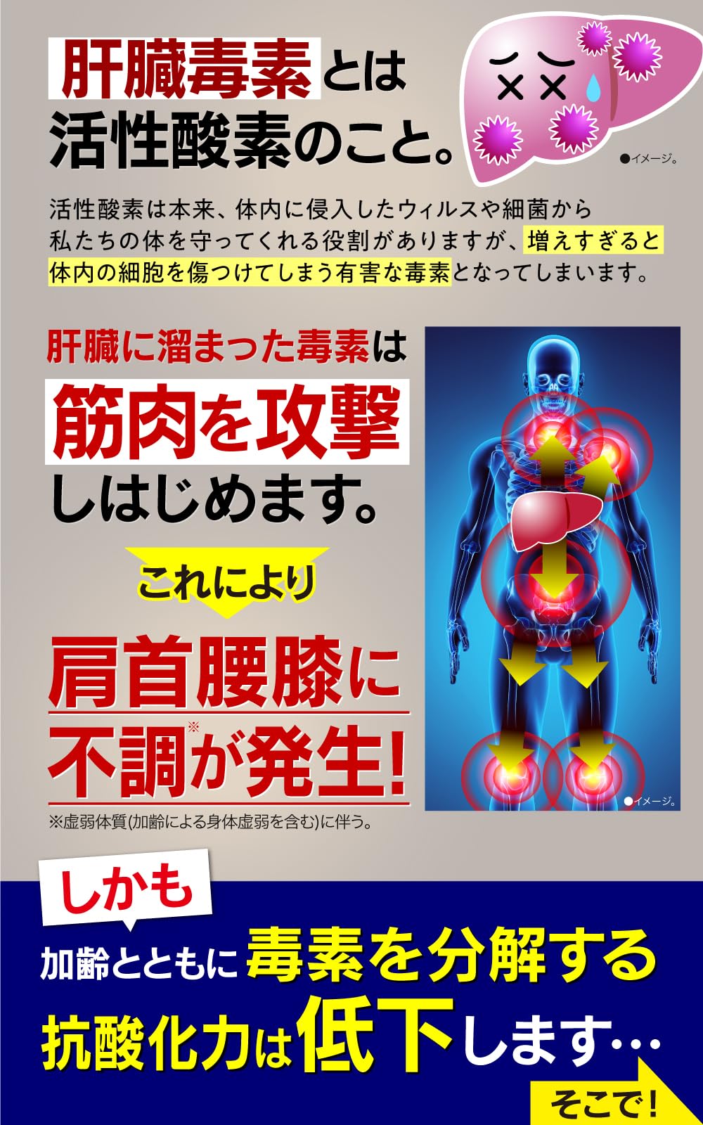 Amazon.co.jp: ほぐらくケア EX 90錠（30日分）[ 腰痛 肩こり 血流改善