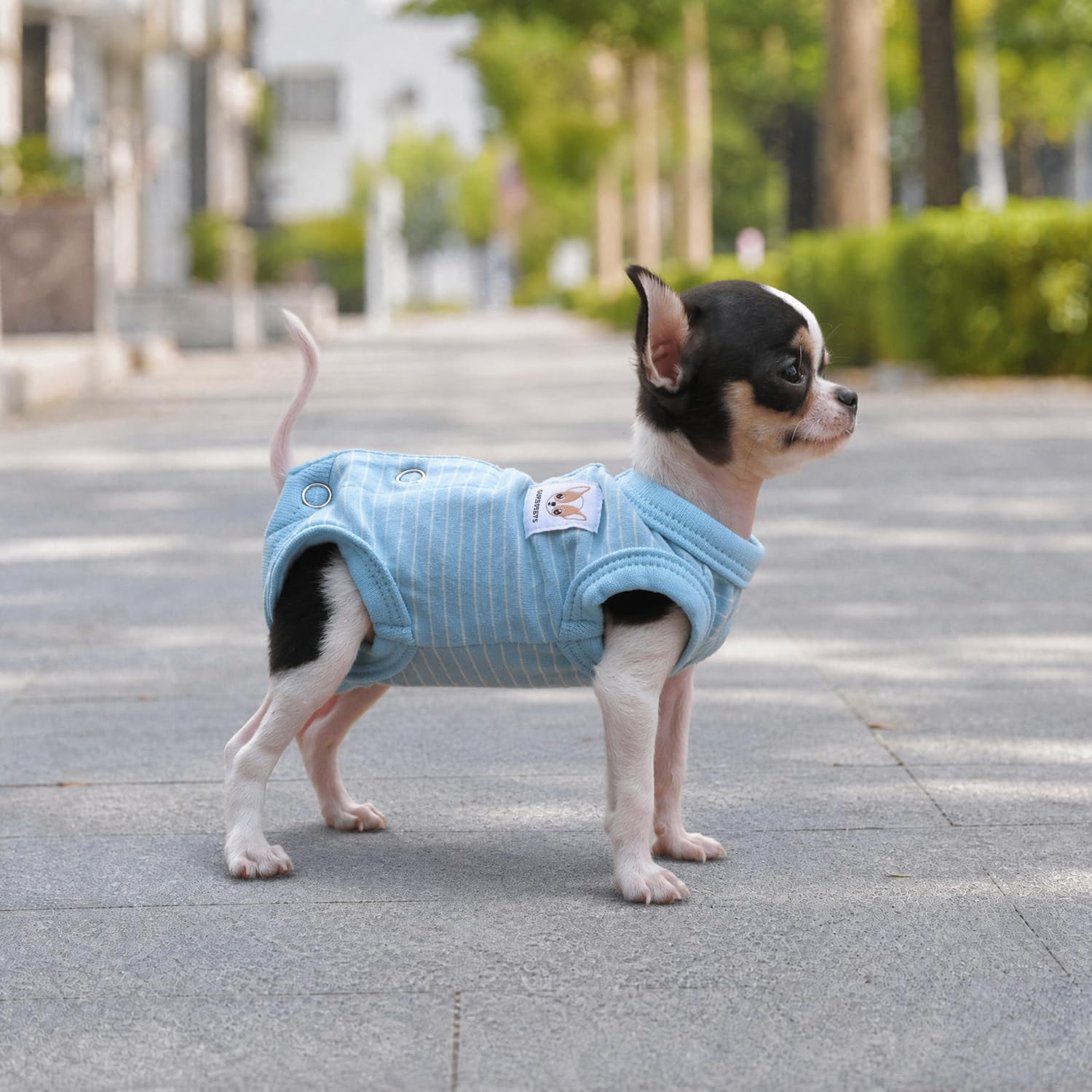 LOPHIPETS Dziewczynka pies koszule regeneracji garnitur piżama dla małych filiżanek pies chihuahua yorkie szczeniak kot ubrania-Cambridge niebieskie paski/XS