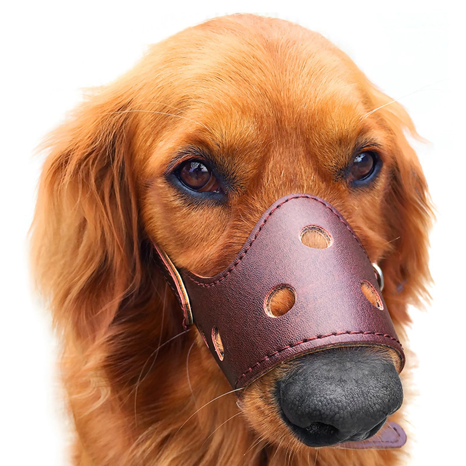 Máscara de Perro, Entrenamiento de Malla Transpirable Duradero con Cesta Fuerte, Permite jadear, Beber, Adecuado for excursiones, Caminar y Otras Actividades(Brown,XS)