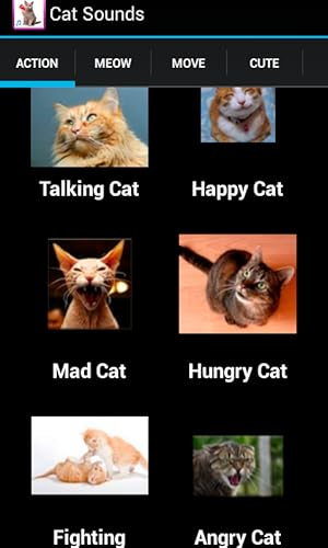 Sons do gato