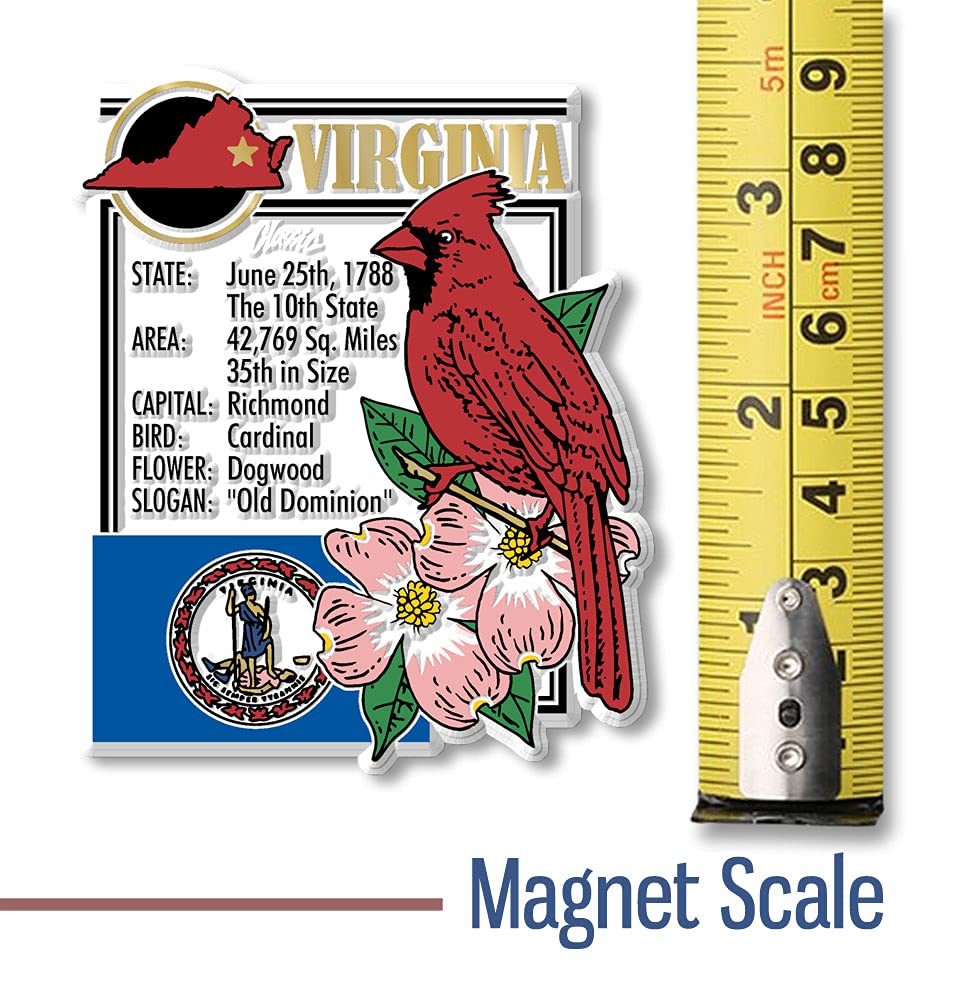 Virginia Six-Piece State Magnet Set by Classic Magnets