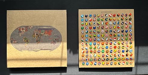 291 Pcs Flags Push Pins for Map World Flags Push Pins National Flag ...