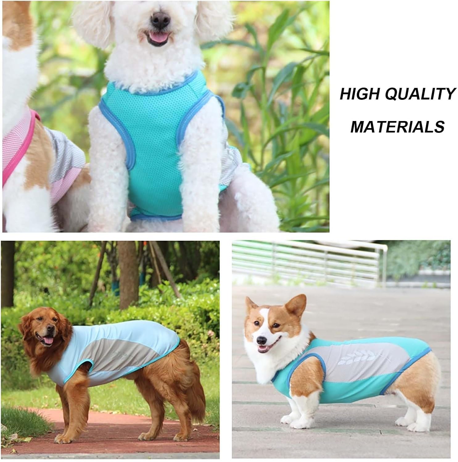 710mDmcmFIL. AC SL1500