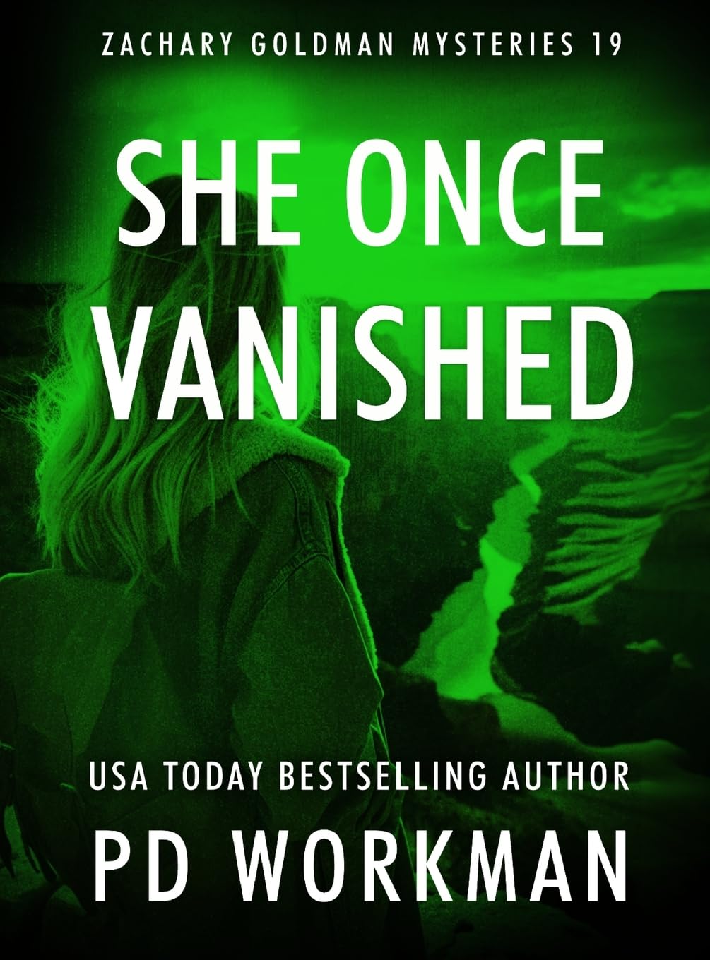 Buy She Once Vanished: 19 (Zachary Goldman Mysteries) — BookShops.in