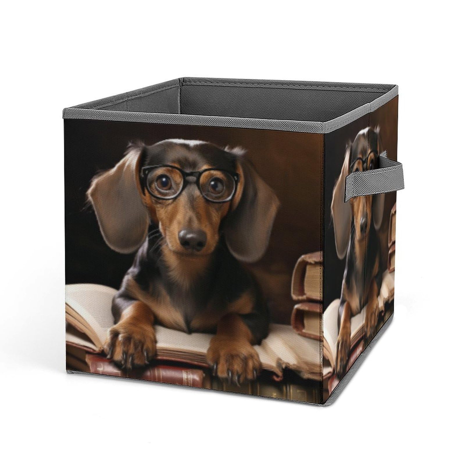 JTREHY Dachshund Printed Foldable Storage Box, 10.6 Inches Fabric Storage Box for Wardrobe, Bedroom, Utility Room