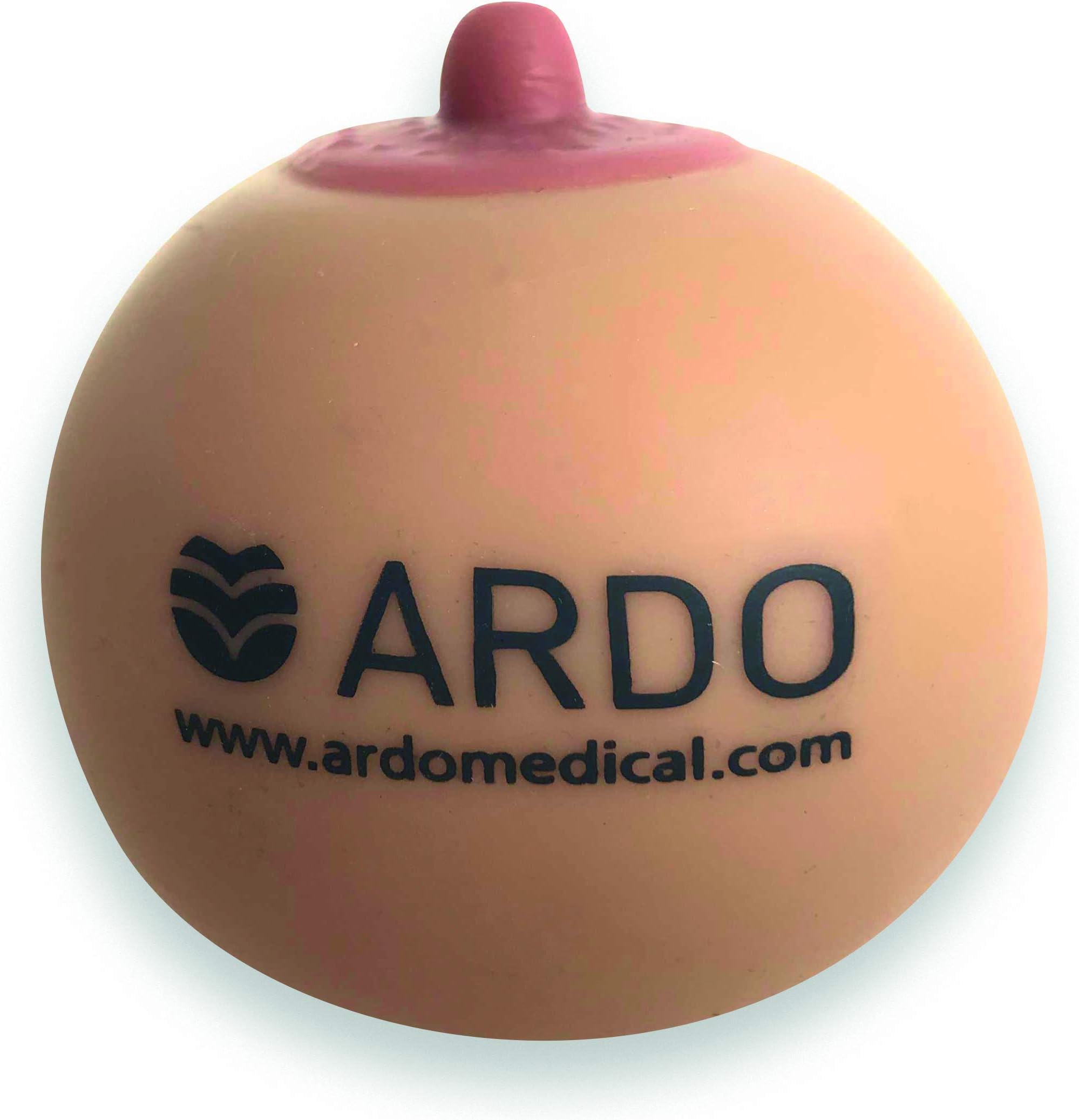 Ardo Demo Breast Model โ Silicone Breastfeeding Educational Tool For Lactation Professionals Artificial Female Teaching Aid Doctors, Nurses, Medical Students (Light)