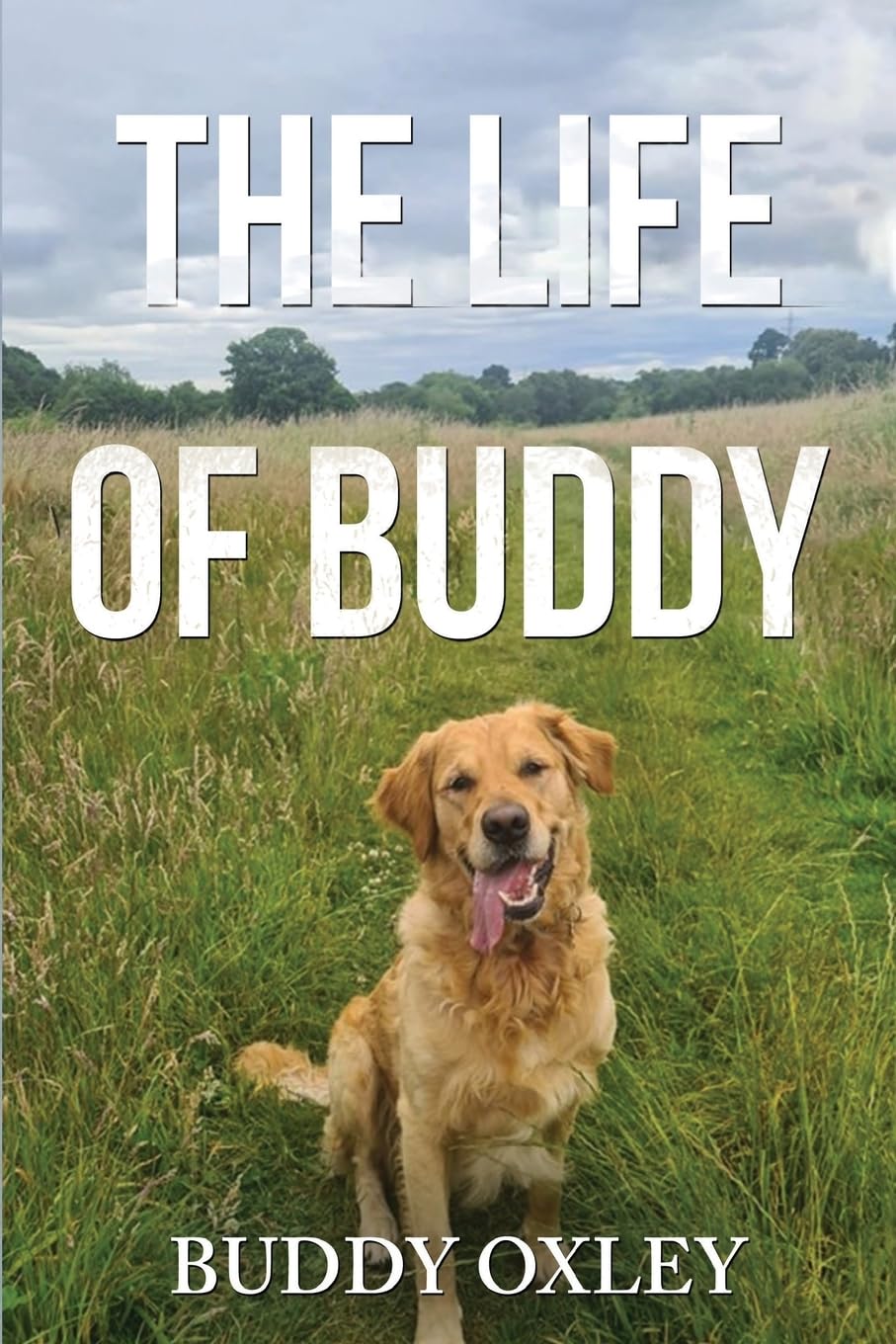 The Life of Buddy