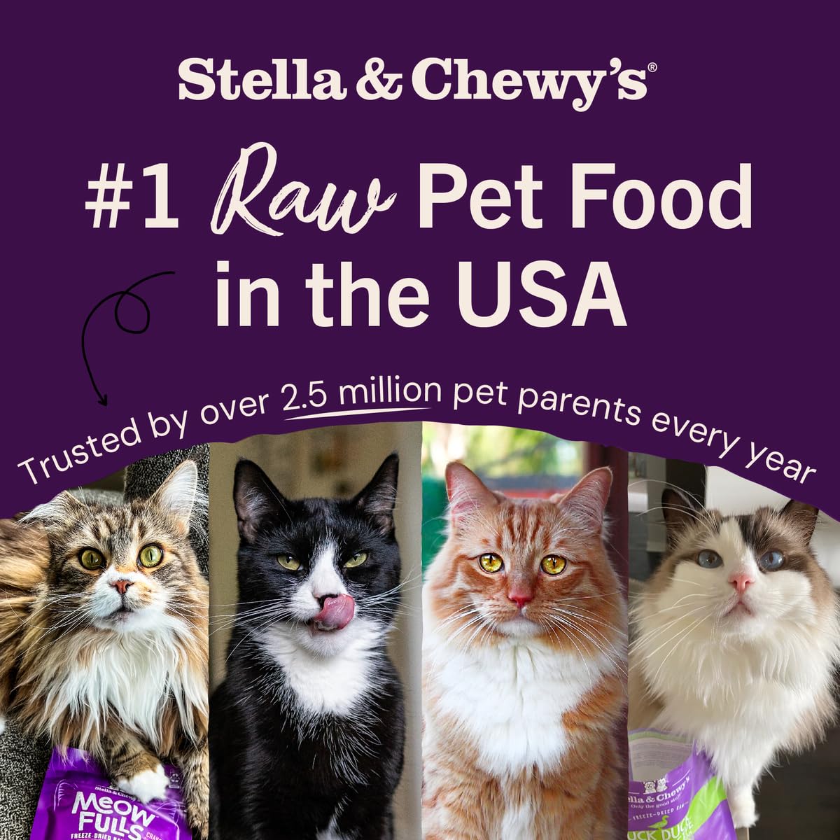 Stella & Chewy's Freeze-Dried Raw Cat Dinner Morsels - Image 8