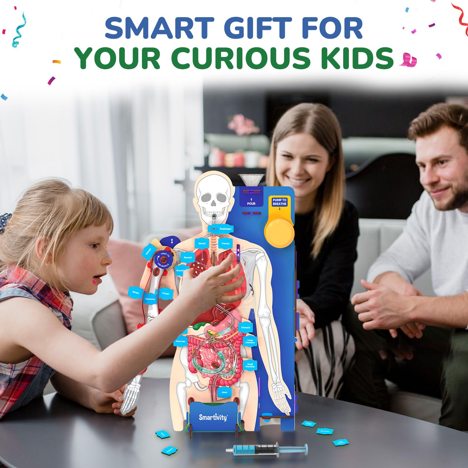 Smartivity Interactive Human Body Model for Kids 8-14 Years — Amazon image 7