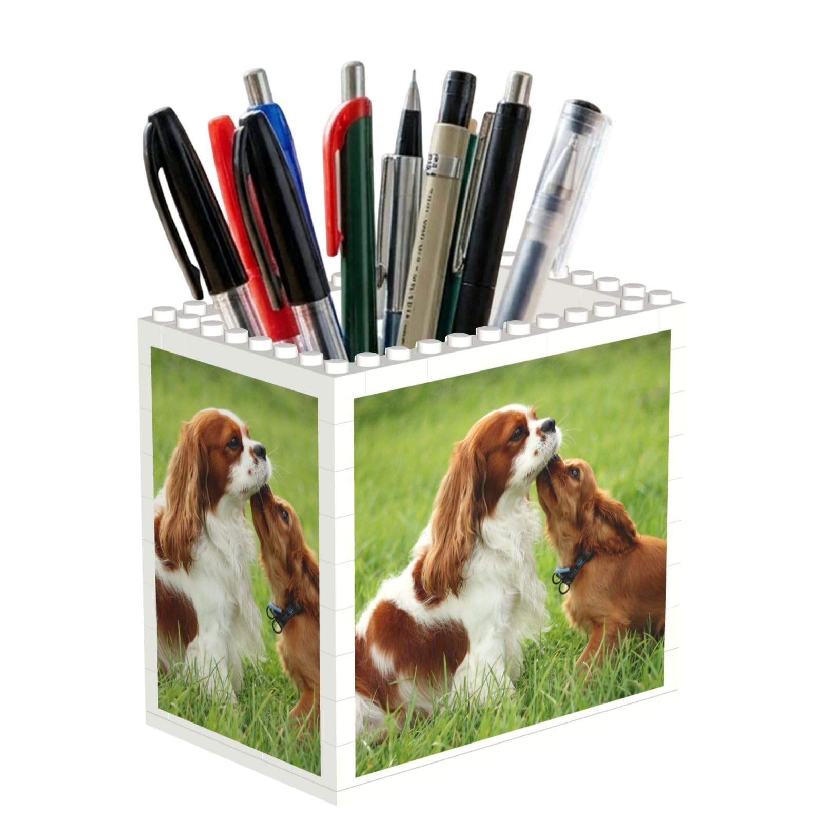 Poadnly Cavalier King Charles Spaniel, Pen Pot Pencil Holder for Office Home School, Compact Desk Organiser for Office Stationery
