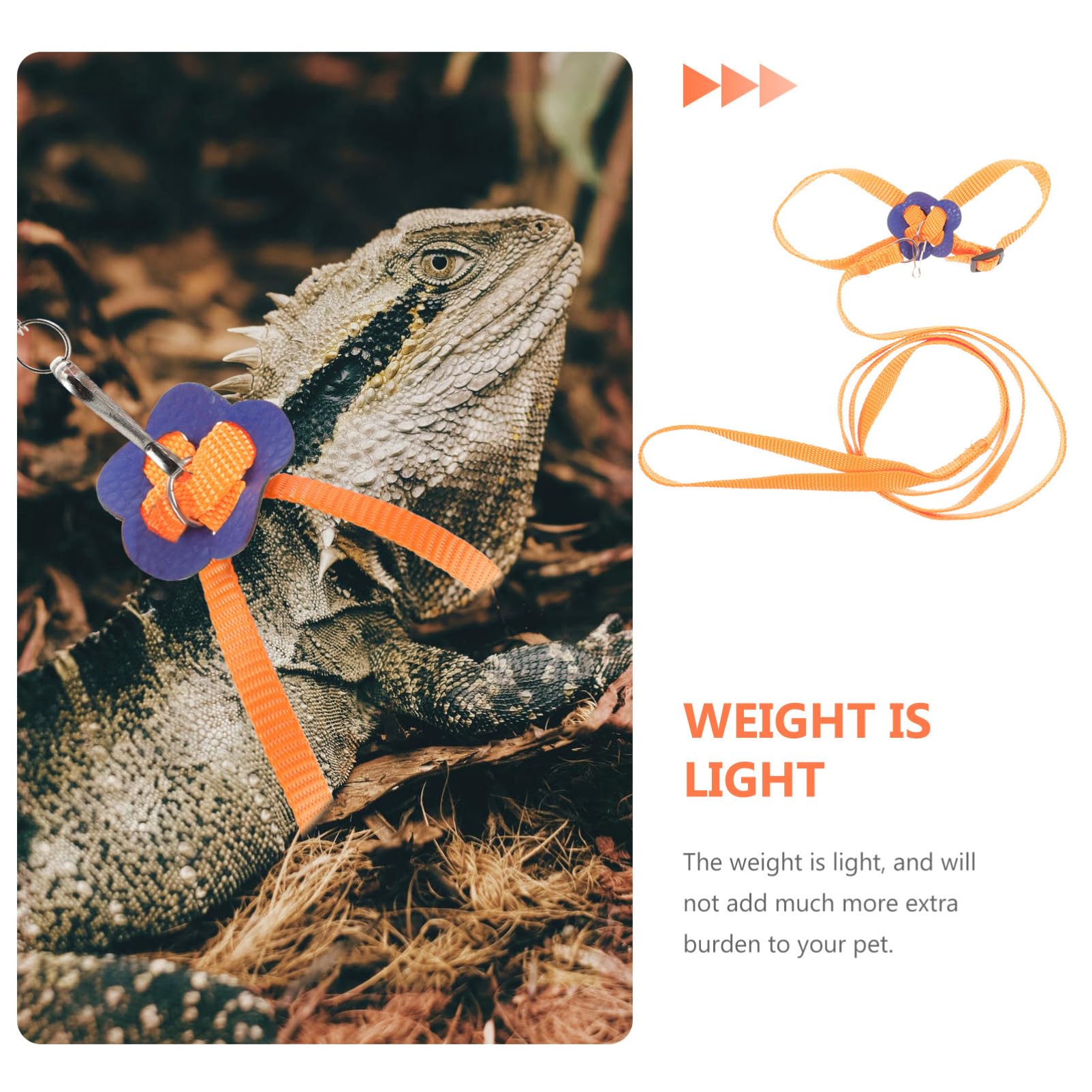Toddmomy Lizard Harness Strap Reptile Traction Rope Iguana Leash Harness Nylon Chameleon Hauling Small Pet Walking Leash