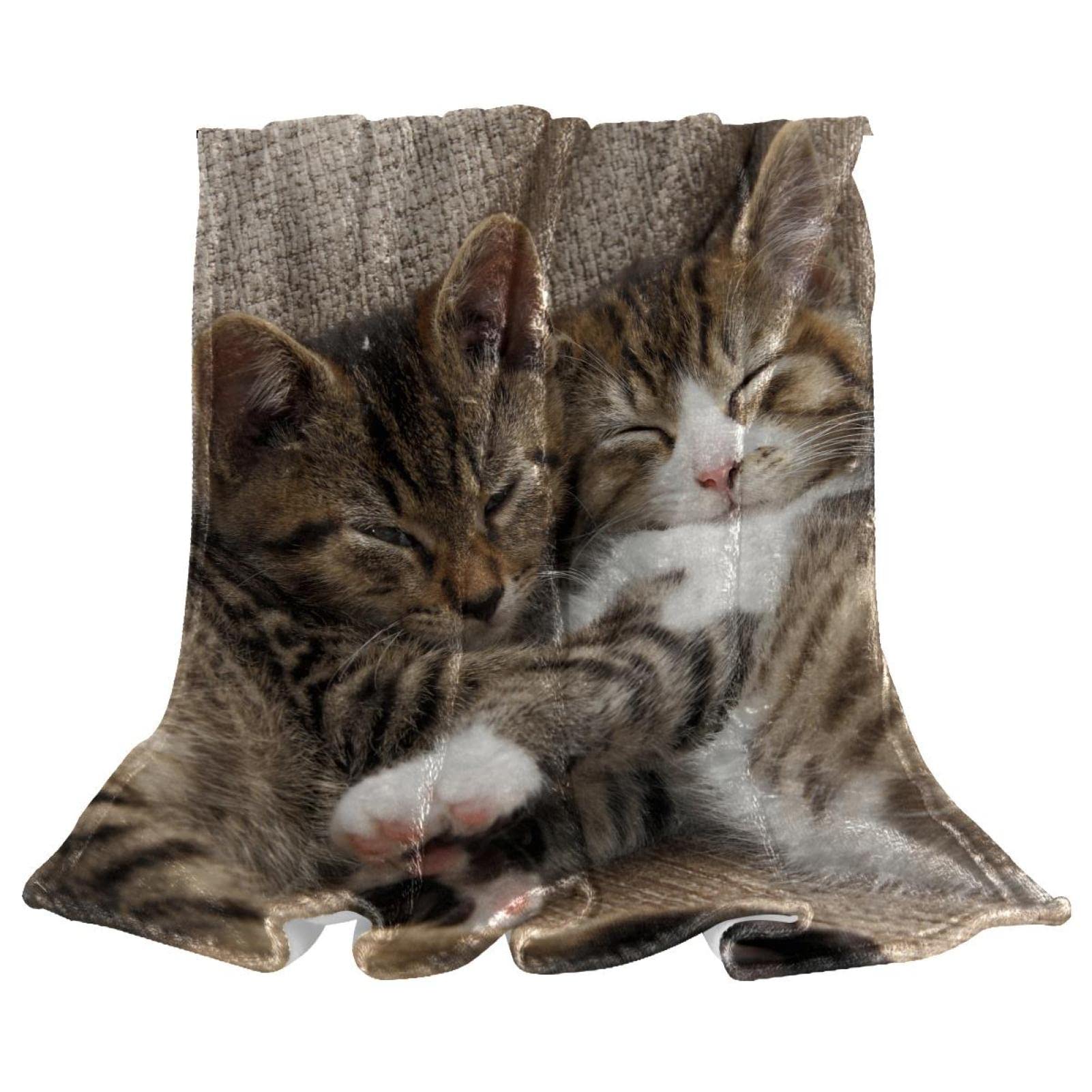 Couvertures en microfibre TBOUOBT plaid peluche lit canapé chats
