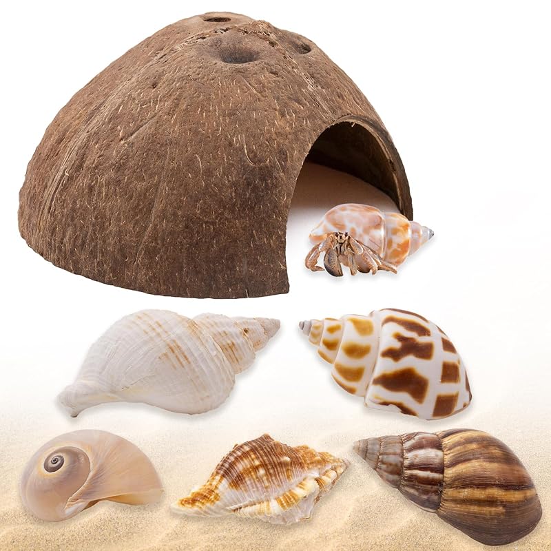 Esconderijo de Coco Natural para Caranguejo-Ermitão com Conchas de Reposição Niuohoy, 6 Peças