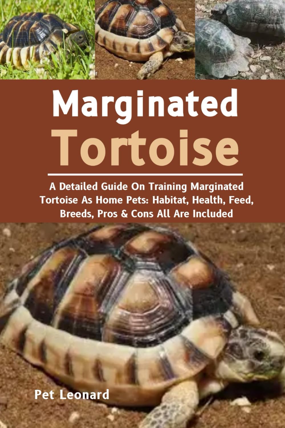 MARGINATED TORTOISE: A Detailed Guide On Training Marginated Tortoise As Home Pets: Habitat, Health, Feed, Breeds, Pros & Cons All Are Included
