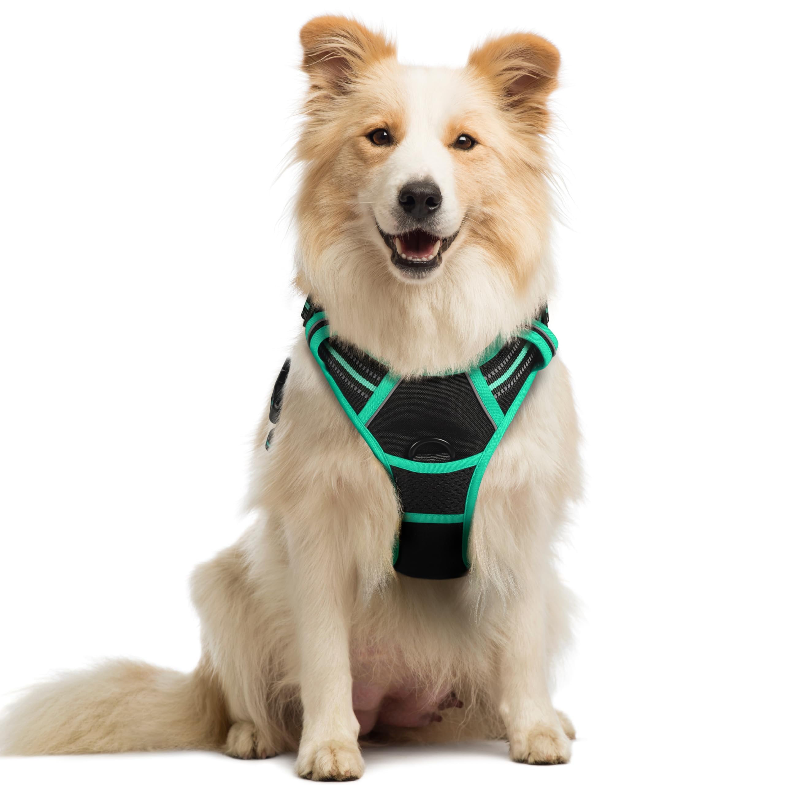 rabbitgoo Dog Harness No Pull with 2 Leash Clips, Adjustable Soft Padded, Reflective Oxford No Choke Pet Vest with Easy Control Handle for Medium Sized Dogs, Black & Turquoise, M