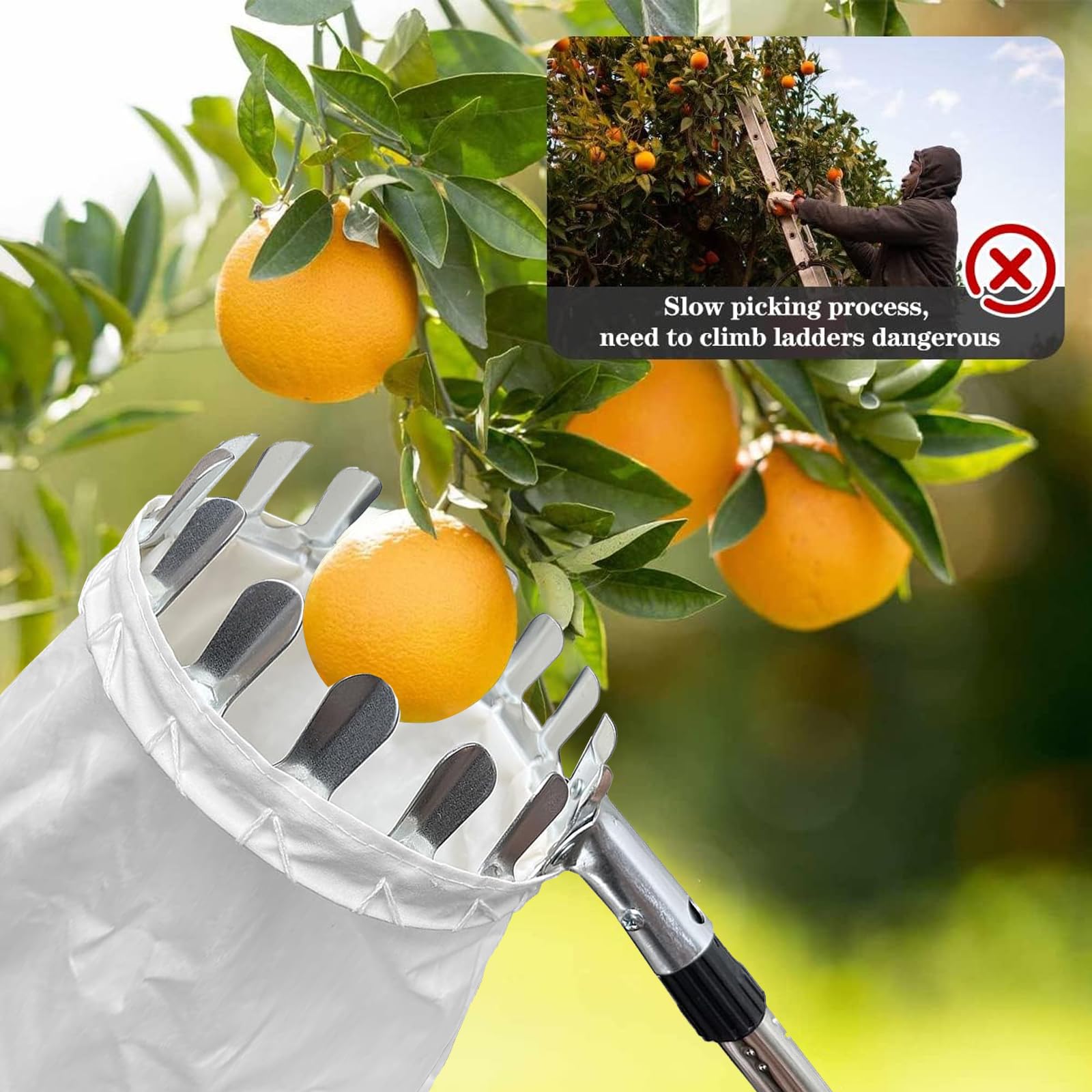 Raccoglitore di Frutta da 4.2m con Manico telescopico-Raccoglitore di Mele con Sacchetti di Tessuto,Raccogli Frutta Regolabile in Altezza per Limoni,Mele,Pere,Pesche,Manghi Arance.