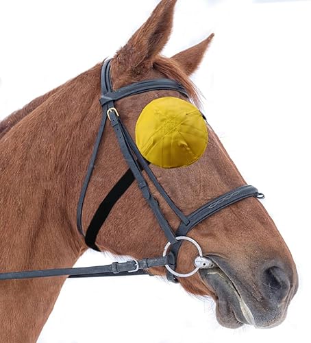 Máscara de protección de ojos de caballo, protector de ojos de caballo, parche de ojo de caballo, anteojos de caballo para entrenamiento de