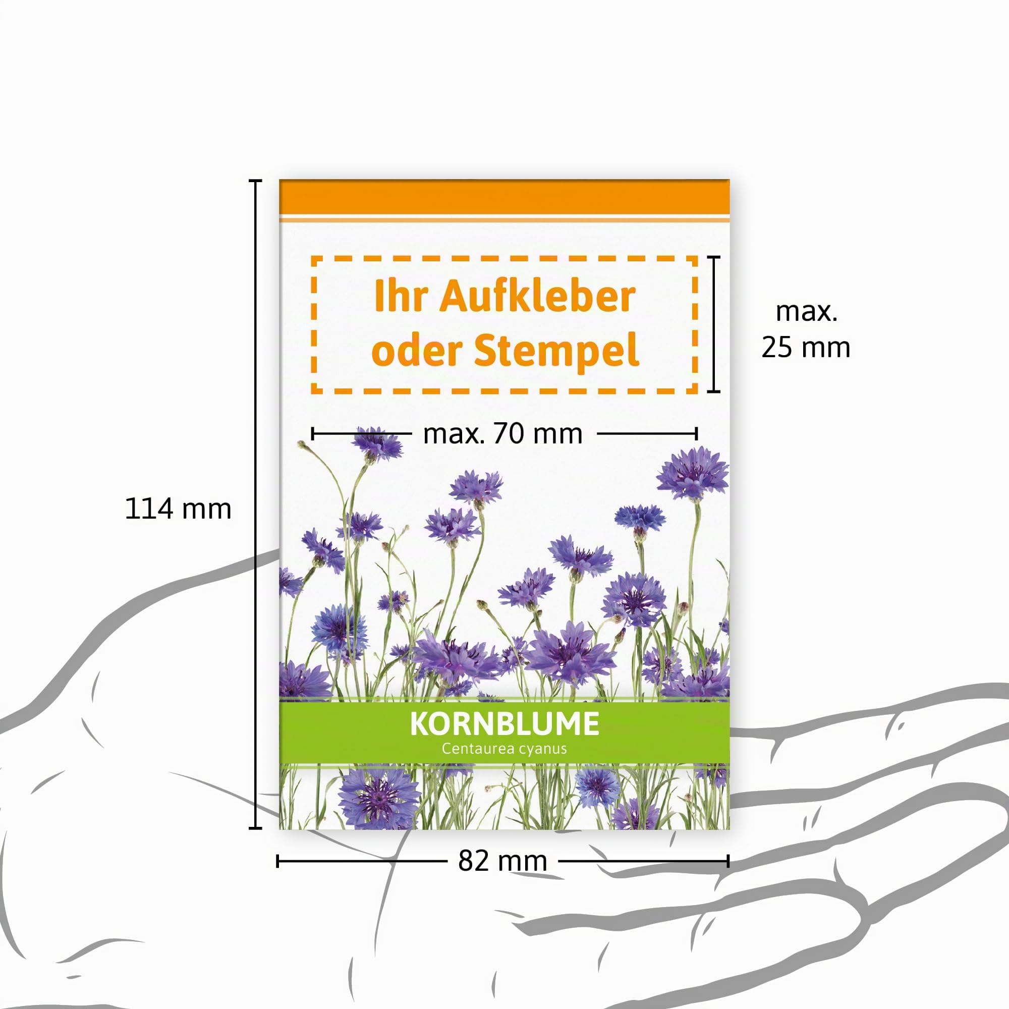FLORTUS Kornblumen Samen für Gastgeschenke (100 Stück) | Blumensamen als Dankeschön Geschenke, Mitgebsel & Werbegeschenke | Wildblumensamen
