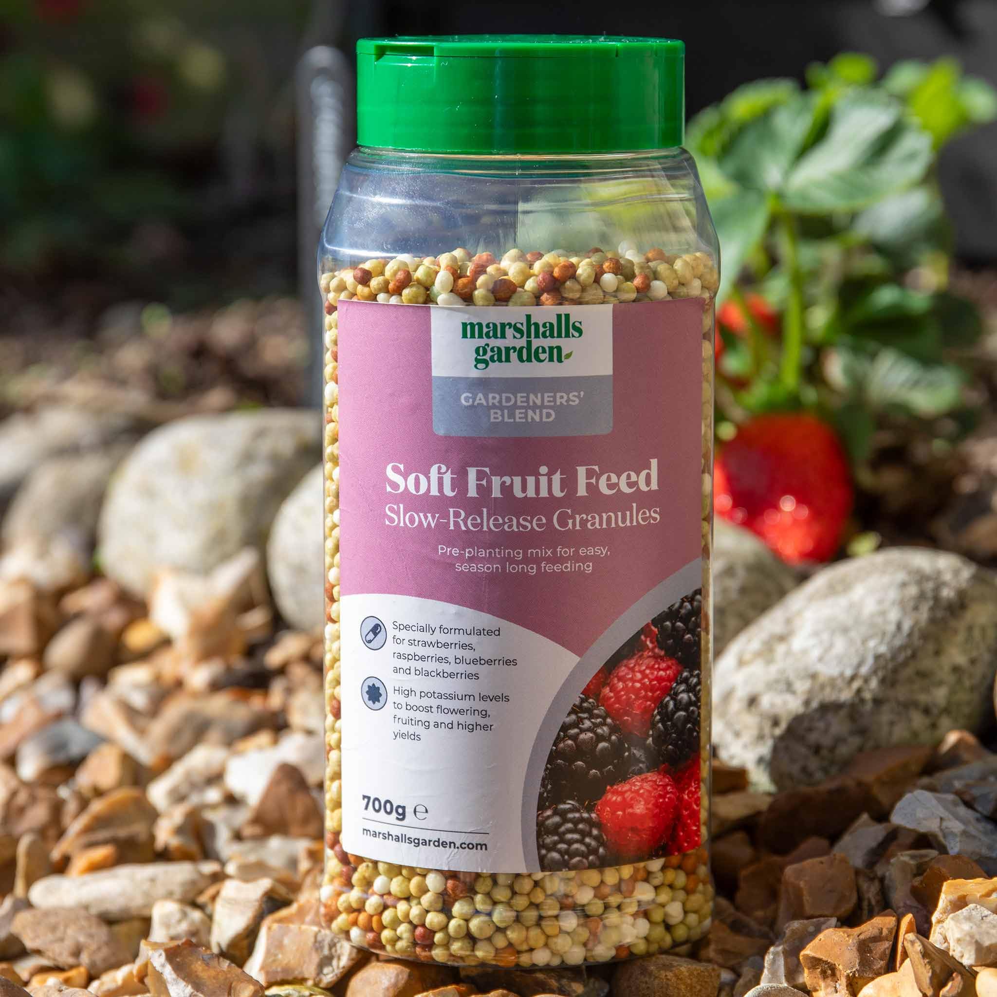 Concentrated Soft Fruit Feed - Pre-planting