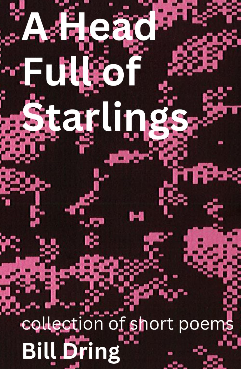 A Head Full of Starlings (Everything is Overrated)