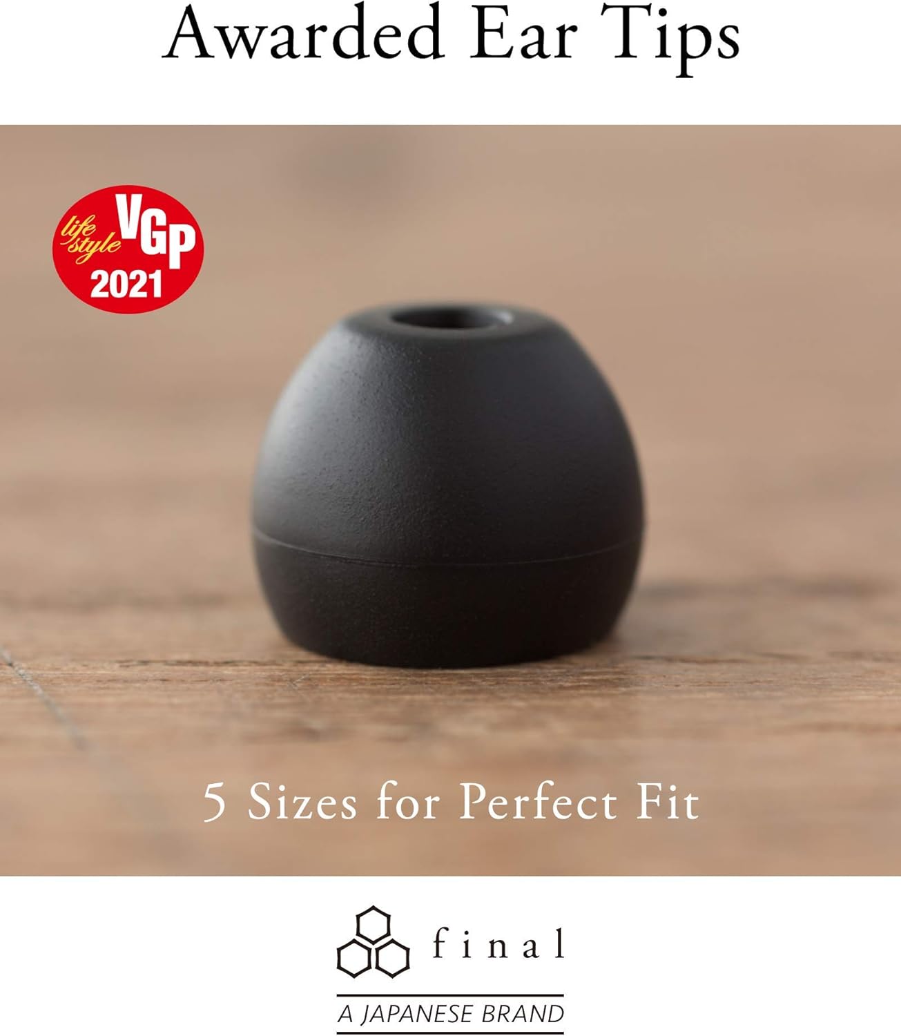 Final E2000 FI-E2DALCS in-Ear Earphones, Controller with Microphone, Matte Silver