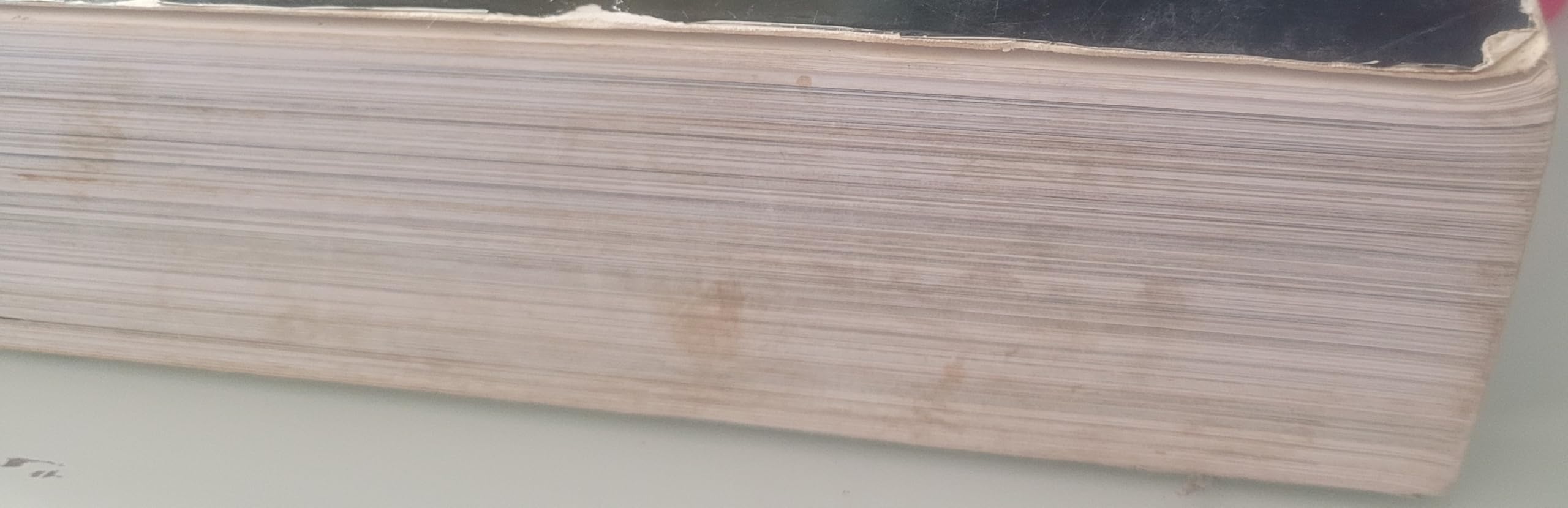 The Princeton Encyclopedia of Mammals Paperback – March 1, 2009