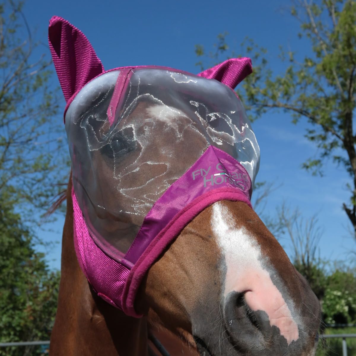Maschera Antimosche Horses Fly Guard, Leggera e Traspirante, Maglie Fini con Orecchie in Tessuto Forato per Protezione da Mosche e Moscerini (Fucsia, m)