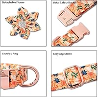 Vista 5 de TDTOK Collar de Perro para Niña para Perros Pequeños, Medianos y Grandes, Lindo Collar de Perro con Hebilla de Metal de Seguridad con Flor