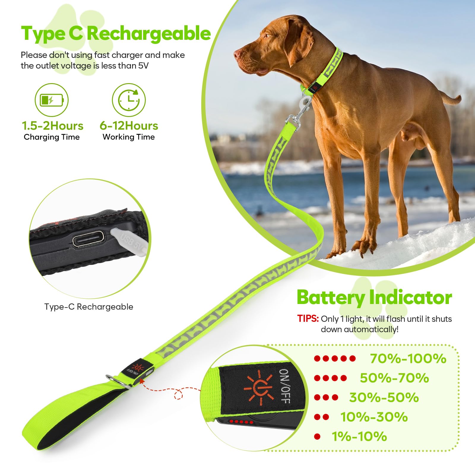 Flashseen Guinzaglio per cani luminoso, 1,2 m, LED con luce di tipo C, ricaricabile, in nylon, luci di sicurezza per cani per passeggiate notturne (verde)
