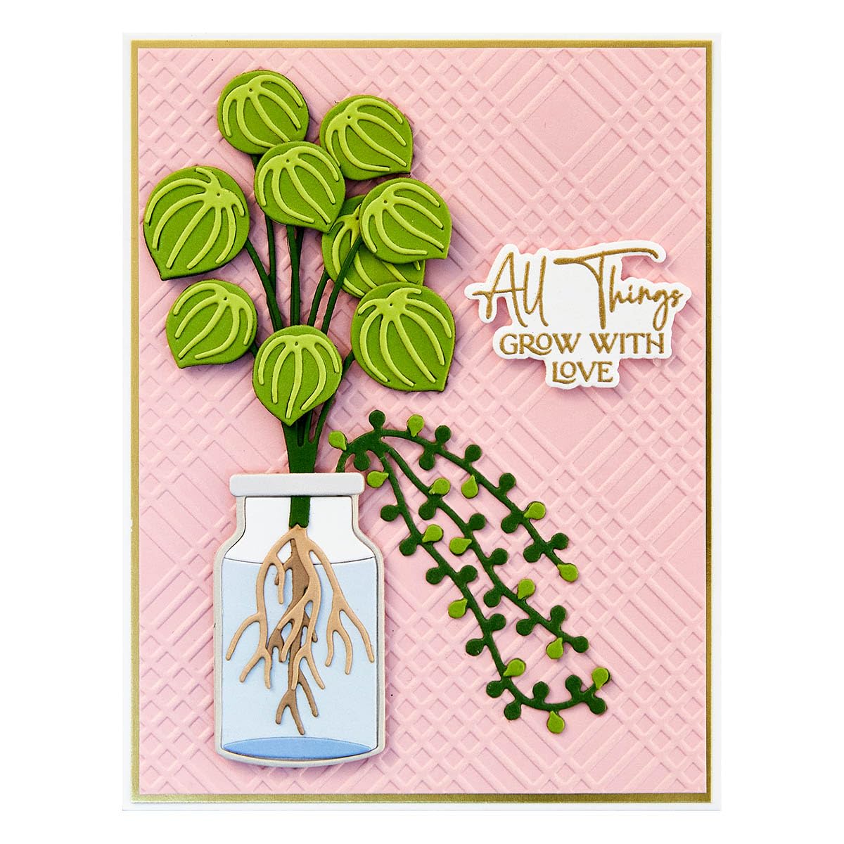 Spellbinders S6-230 Propagated Plants Etched Dies from The Propagation Garden Collection by Annie Williams - Image 4