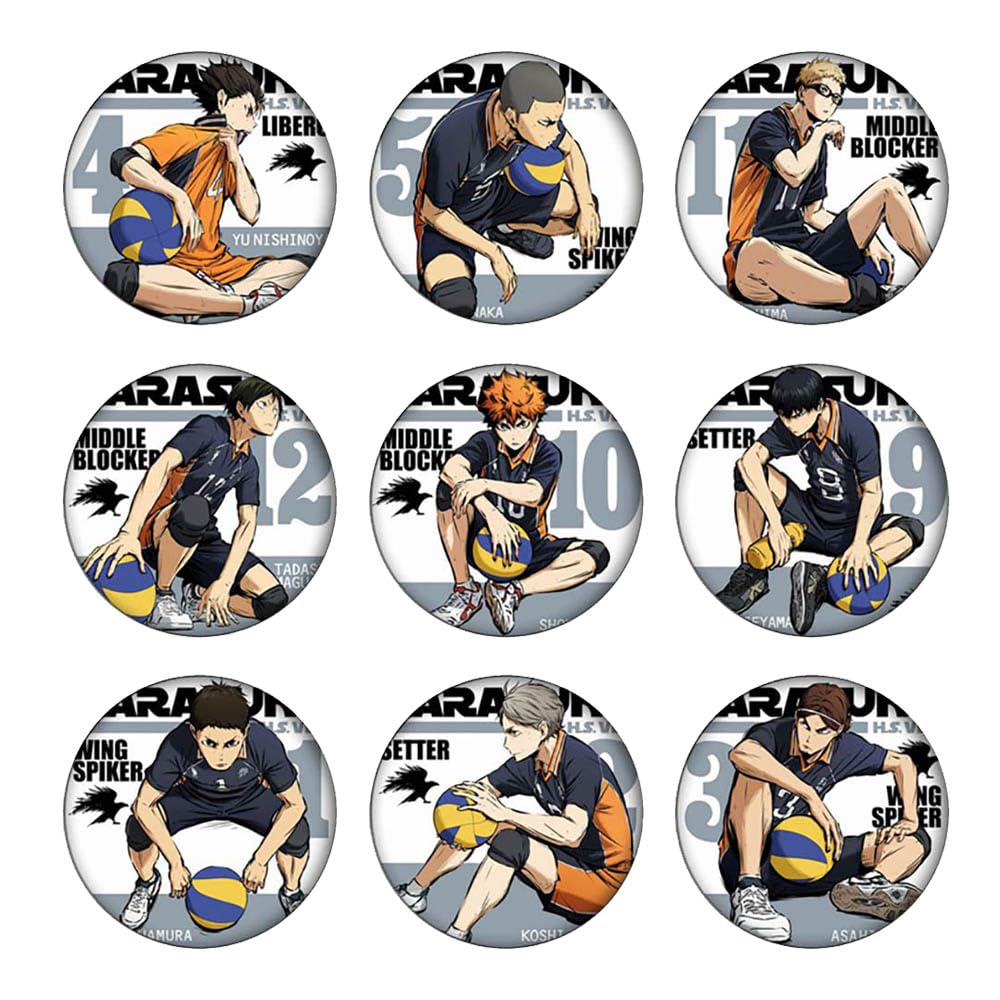 Hinata Shoyo Oikawa Tooru Figure Tinplate Badge, 9 Pieces Haikyu Anime Brooch, 58mm Pencil Bag Pins, Party Favours and Classroom Rewards Set