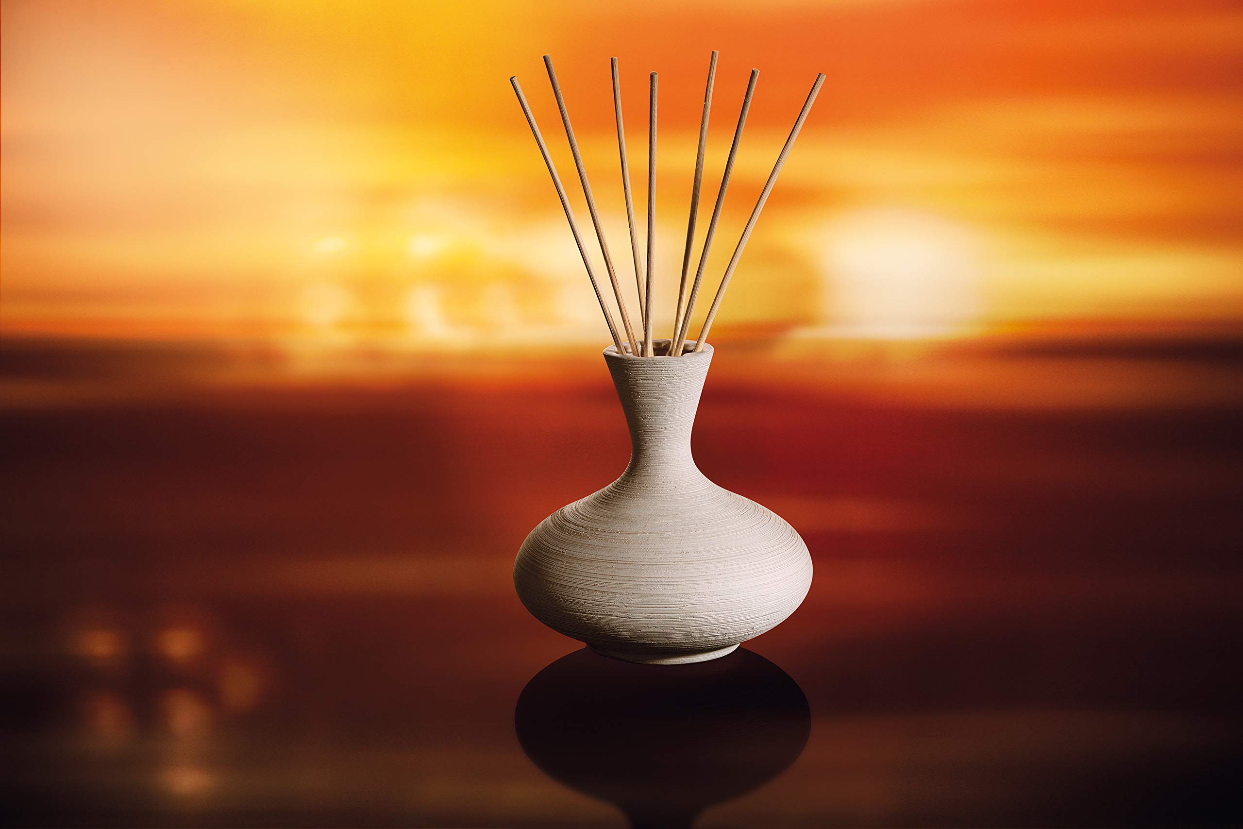 Aromantic heim design 12点セット Amazon.com: Tescoma Fancy Home Oasis Ceramic Diffuser 12x12x12