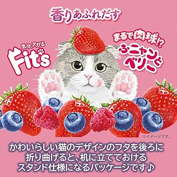 【非売品】ニュージーンズ　ロッテガム　キャンペーンノベルティグッズ Yahoo!オークション - ニュージーンズ Newイタガムmeets