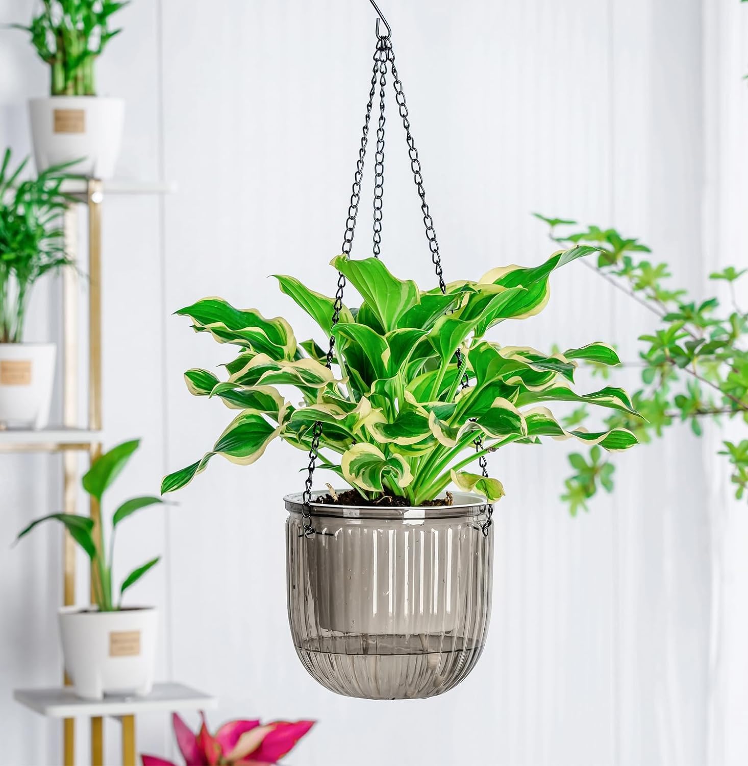 Amazon | 水やり ハンギングプランター 室内植物用ハンギングポット 水