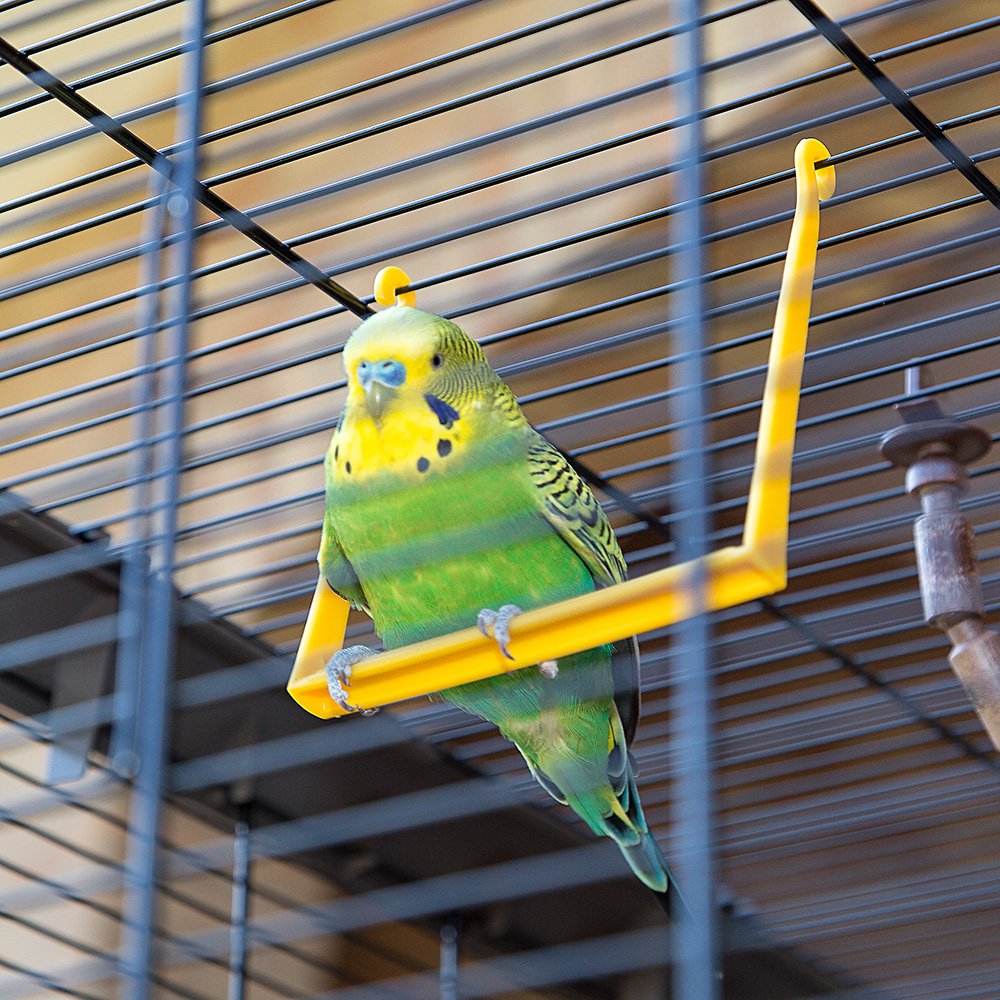 Moult-Mix, Mix-Mue Versterkende Pap Voor Kanaries, Parkieten En Exotische Vogels P 143660