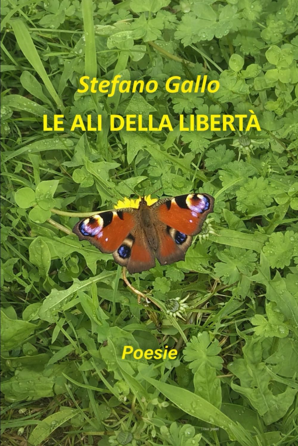 Le ali della libertà - Poesie