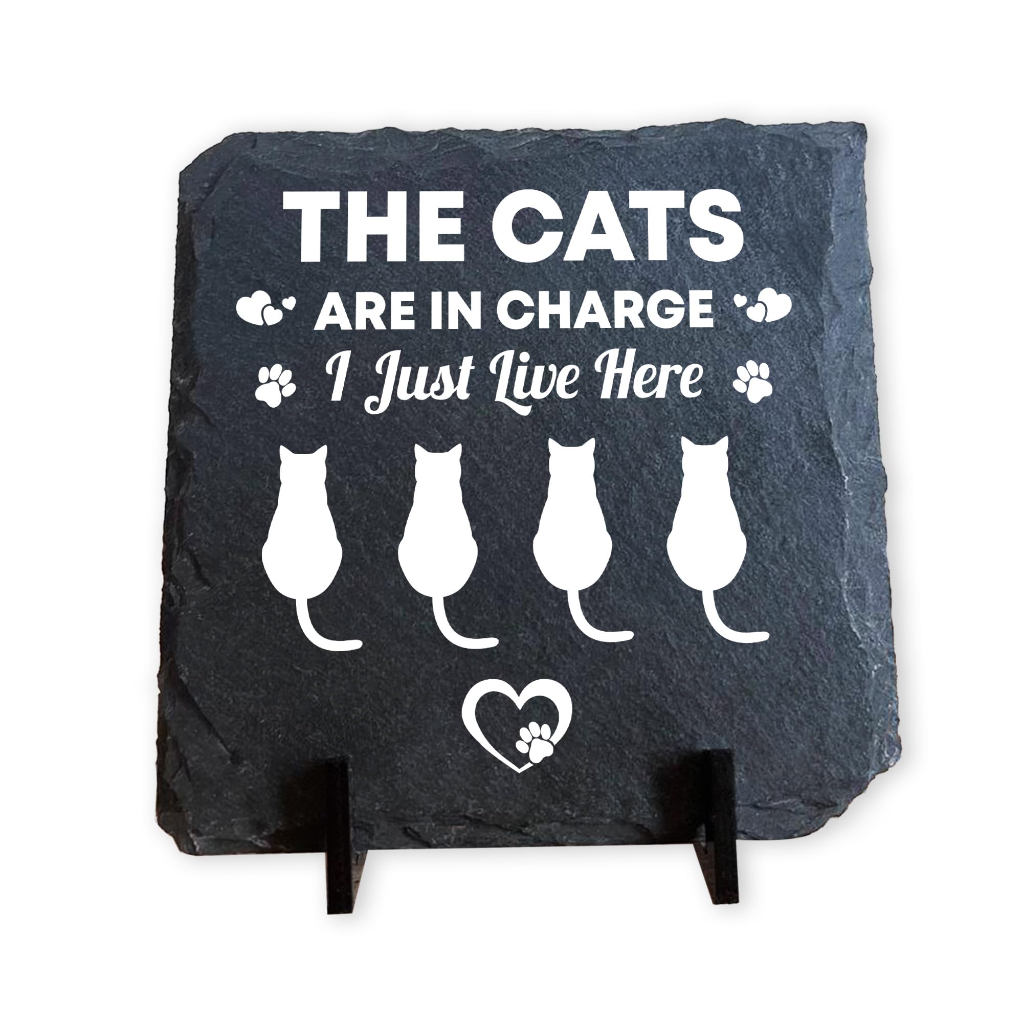 Red Ocean Funny Cat Slate Plaque For Cat Owners, Funny Pet For Christmas Birthday, Home Decor, Pet Owners, Novelty Lovers, Plaques