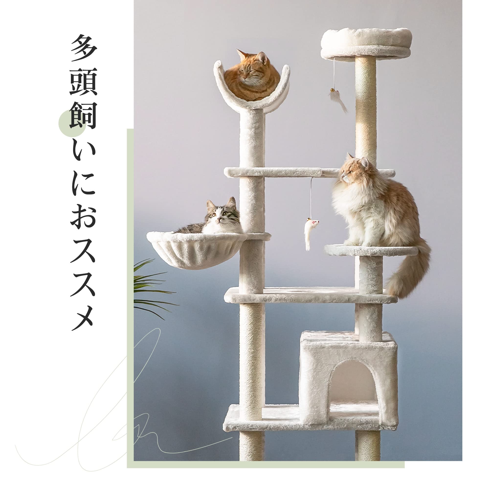 Amazon | lifesia キャットタワー 猫タワー 据え置き 見晴らし台