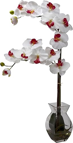 Nearly Natural 1295-WH Phalaenopsis Orquídea con Jarrón Arreglo, Blanco
